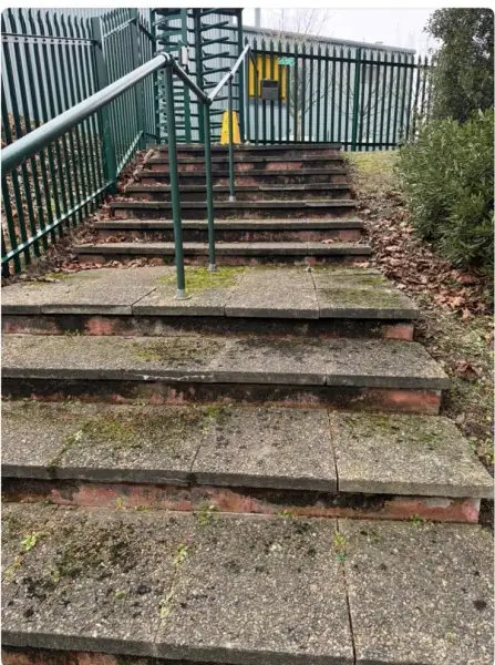 Moss removal and clean to steps (before): Swipe To View More Images