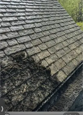 Click Here To Enlarge This Photo Of Roof Clean With Moss Removal