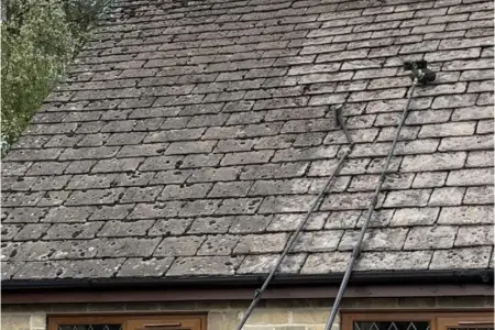 Photo of Roof Clean With Moss Removal