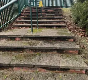 Moss removal and clean to steps (before): Click Here To View Larger Image
